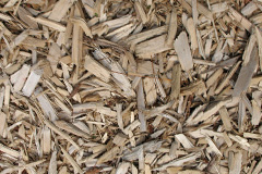 biomass boilers Newtoft